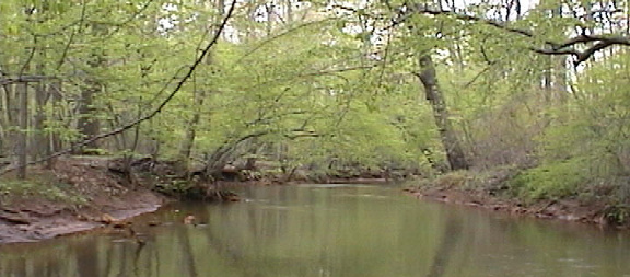 scene of the upper river